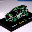 koda Fabia S2000  P.Gotti Rally Orobiche 2012