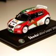 Honza Kopeck Rally del Salento 2010 (vlastn pedlvka)