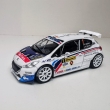 Peugeot 208 T16 C.Breen Barum 2014